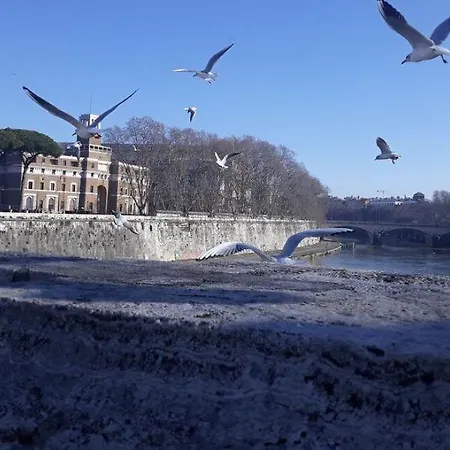 Affittacamere Lungotevere Collection Roma