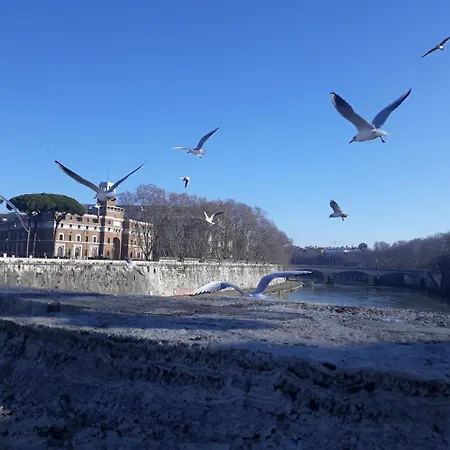 Lungotevere Collection 2*
